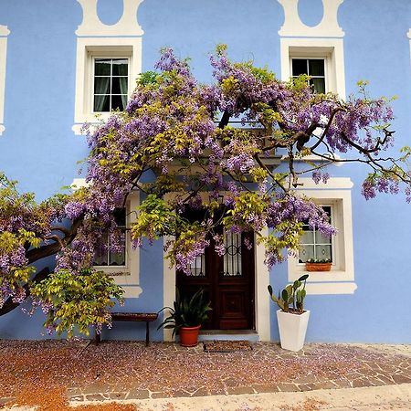 The Blue House Hotel Tolmin Exterior foto
